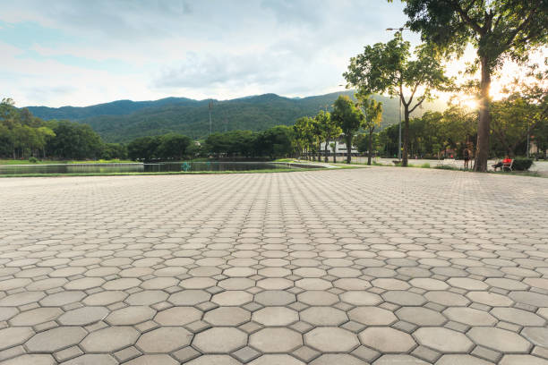 Best Residential Driveway Paver Services  in Hoschton, GA